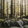Obrus MISTY Stripe Forest