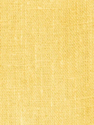 Fartuch CLASSIC Lemon – zdjęcie aranżacyjne